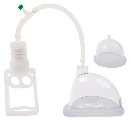 5-teiliges Muschelset