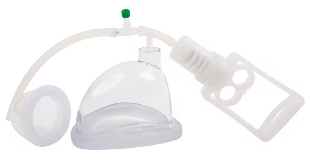 5-teiliges Muschelset