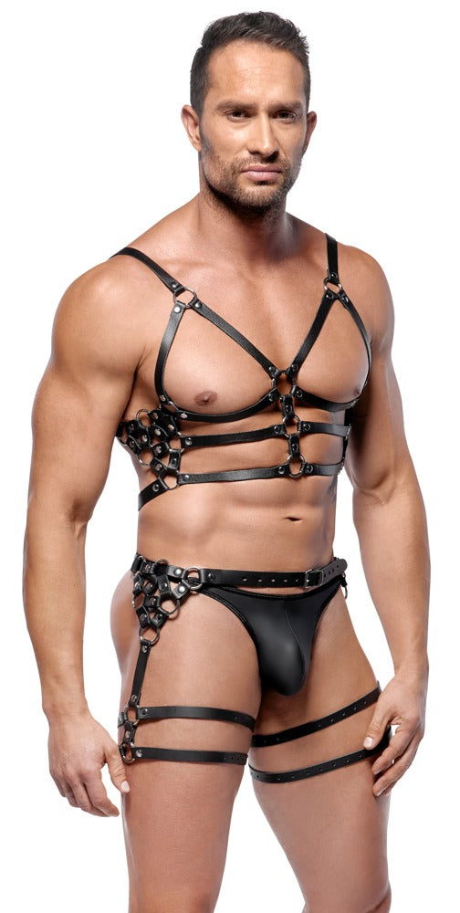 ZADO M/L Leder Harness Set