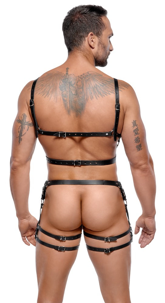 ZADO M/L Leder Harness Set